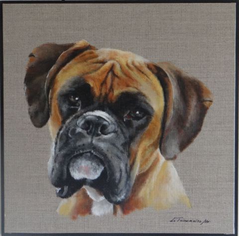 portrait boxer